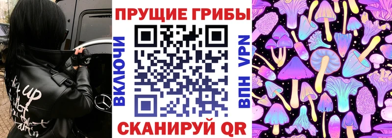 Галлюциногенные грибы прущие грибы Спасск-Рязанский